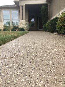 Concrete walkway leading to house entrance with garden