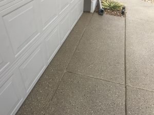 Concrete driveway with garage door and garden plant.