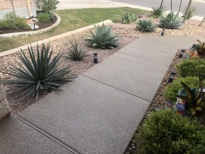 Succulent garden with agave and pathway.