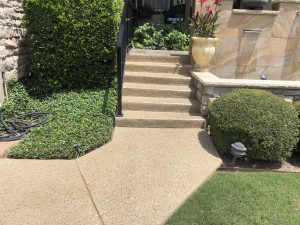 Stone steps with greenery and decorative planter